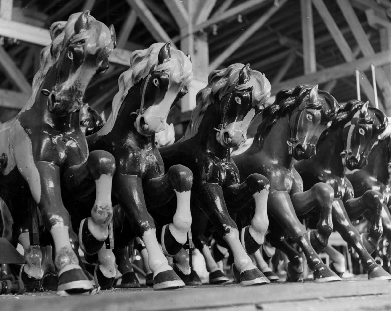 Carousel horses from Forest Park Highlands